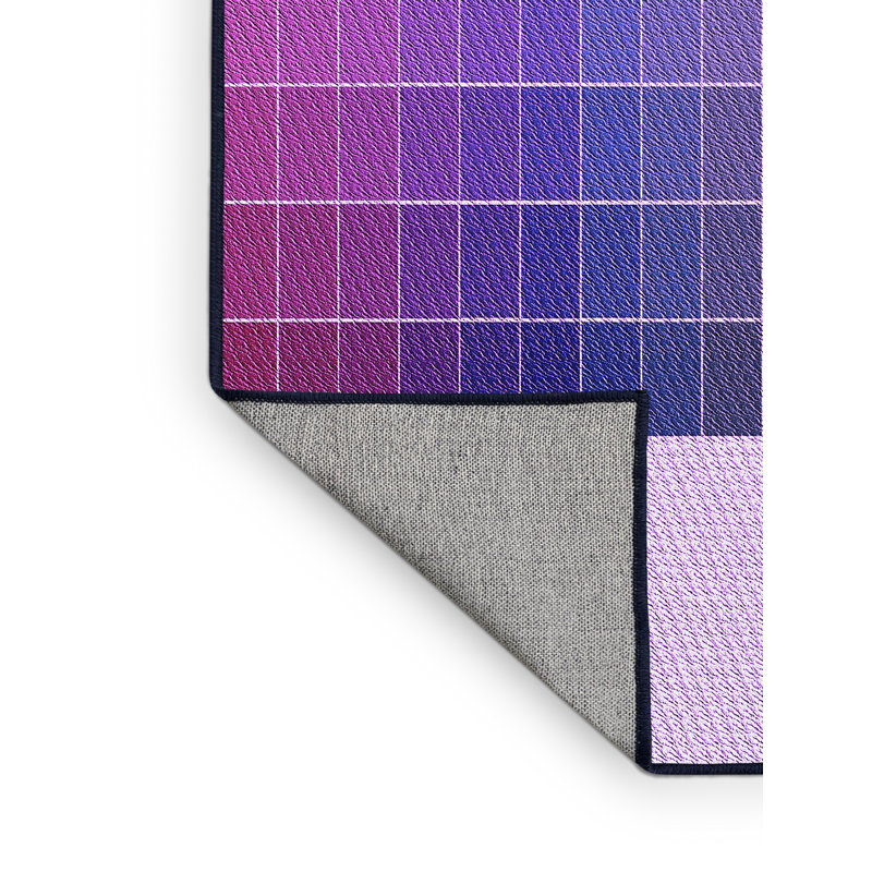 Indoor Rug, Runner 2' x 5'