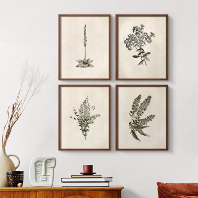 «Vintage Floral Print», impression encadrée «ACC», par 4