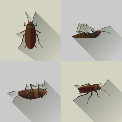 Ensemble de cafards insectes
