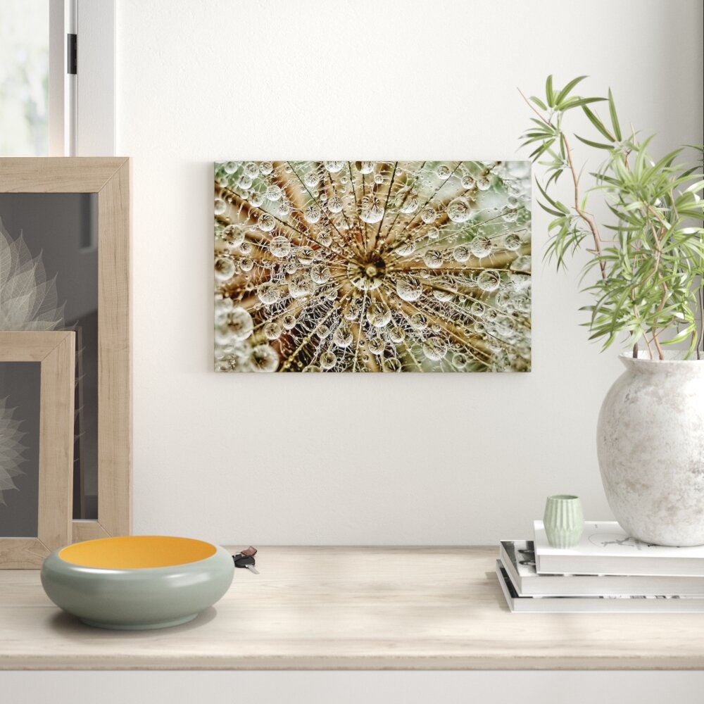 Leinwandbild Pusteblume im Herbst