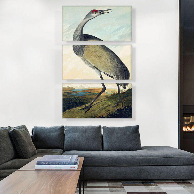 «Sandhill Crane» par James Audubon, ensemble de 3 reproductions d'art sur toiles tendues, H 60 po x l 40 po x P 0,75 po