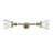 Cone 2 Light Tiltable Bath Vanity Light-33004747-33004744-33004750
