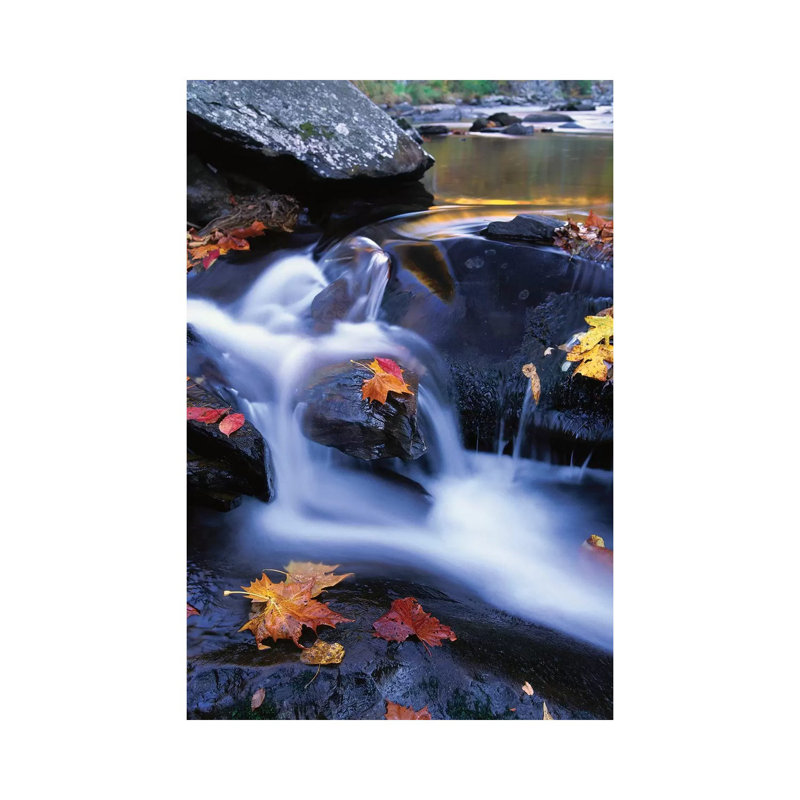 Autumn Leaves In Little River, Great Smoky Mountains National Park, Tennessee - Vertical by Tim Fitzharris - Wrapped Canvas Print