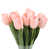 Rose sélectionné