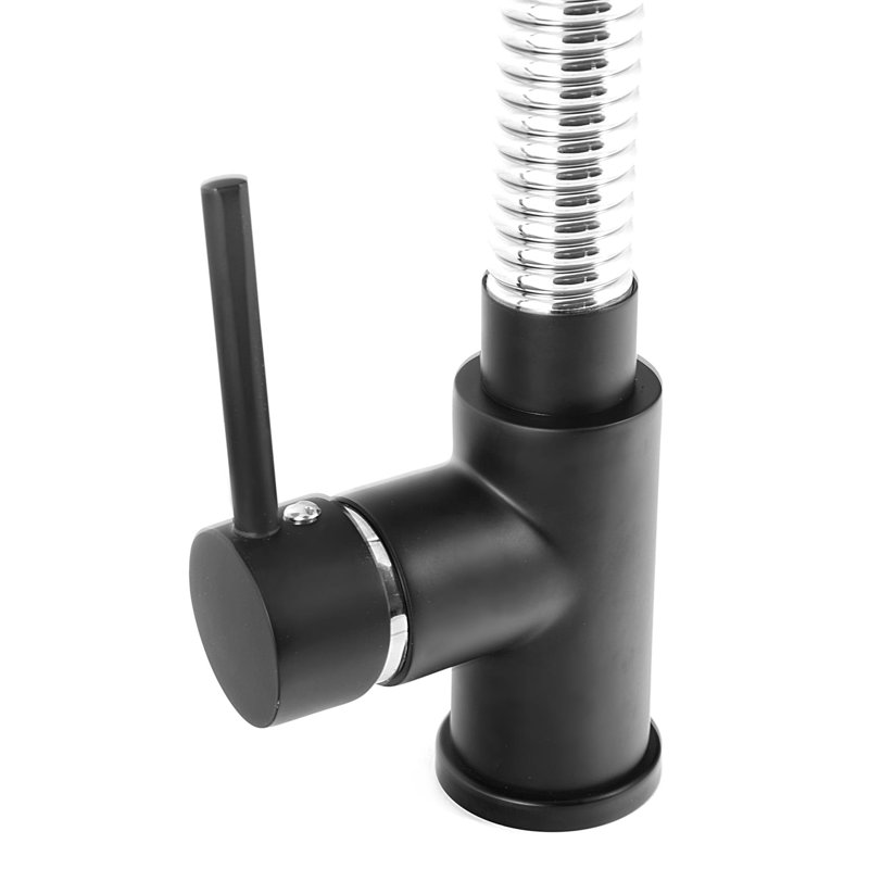 Belfry Kitchen Stellert Kitchen Faucet, Black