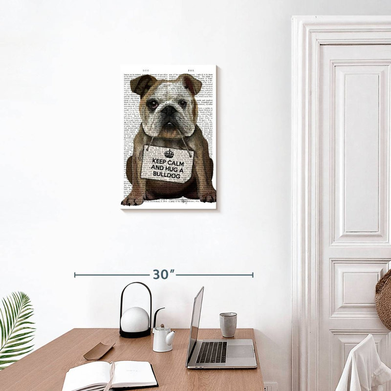 Bouledogue Brampt, H 24 po x l 16 po