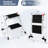 Southmont 2 - Step Lightweight Folding Step Ladder