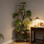 Plant Stand