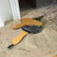 Wood Bellow-74105928