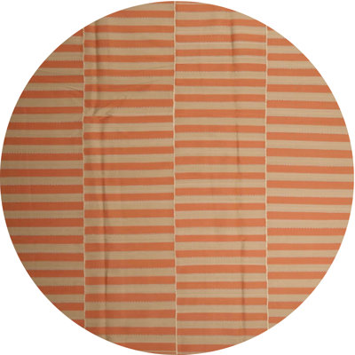 Striped Indoor Rug