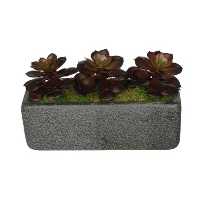 7'' Faux Succulent Plant in Ceramic Vase
