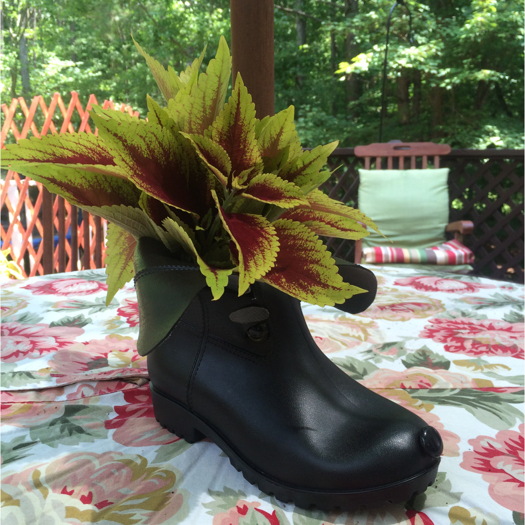 Boot Buddies Cody Dog Planter HomeStyles