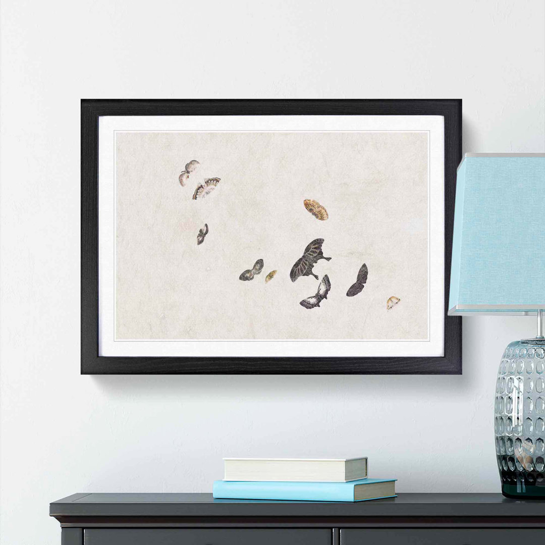 Collection of Butterflies by Shibata Zeshin - Picture Frame Painting