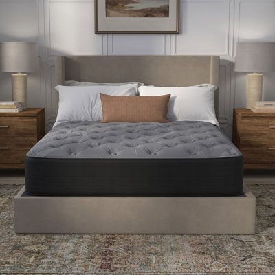 Twillery 12" Plush Hybrid Mattress