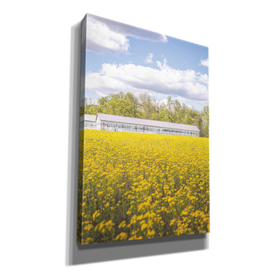 " Field Of Yellow I " by Donnie Quillen