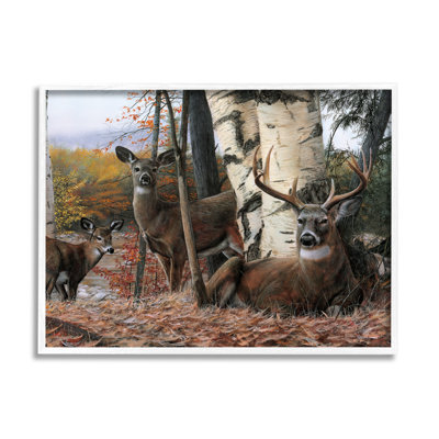 «Stupell Industries Elk Family Woodland Foliage», art mural sur toile par Kevin Daniel