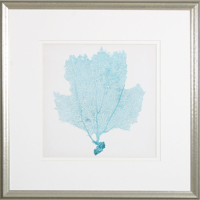 Sea Fan III par Vision - impression encadrée sur papier
