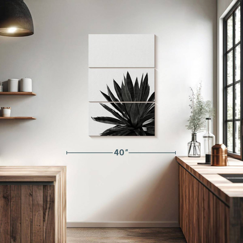 Harnek Agave Cactus BW, 38" H x 24" W