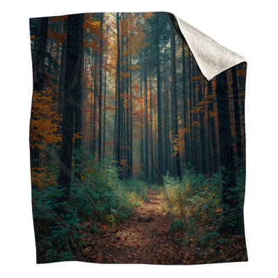 Couvertures Autumn Forest Pathway