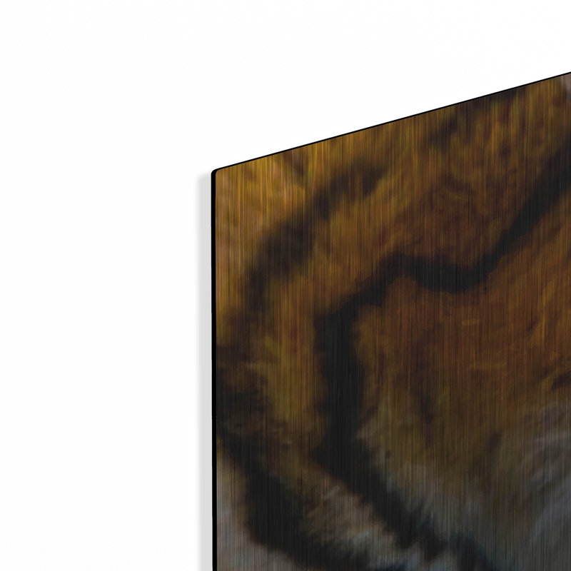"Tigers Sleep" par Murray Henderson Fine Art, H 16 po x l 48 po