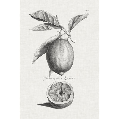 Citrons et oranges antiques I