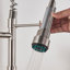 Belfry Kitchen Keenes Pull Down Kitchen Faucet