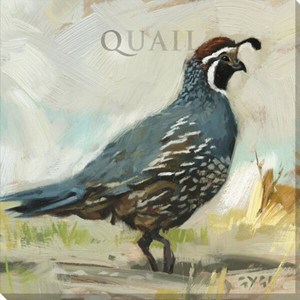 Original Artwork - Quail Feather - Watercolor