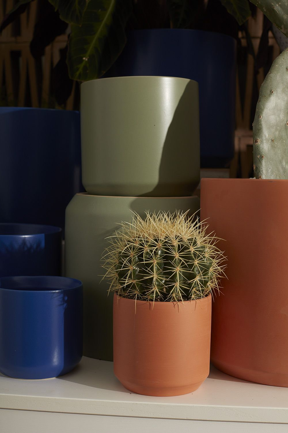 Ceramic Pot Planter