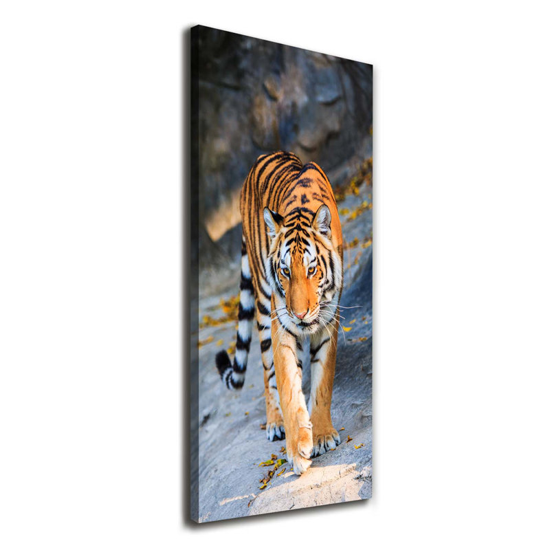 Tiger - Wrapped Canvas Print