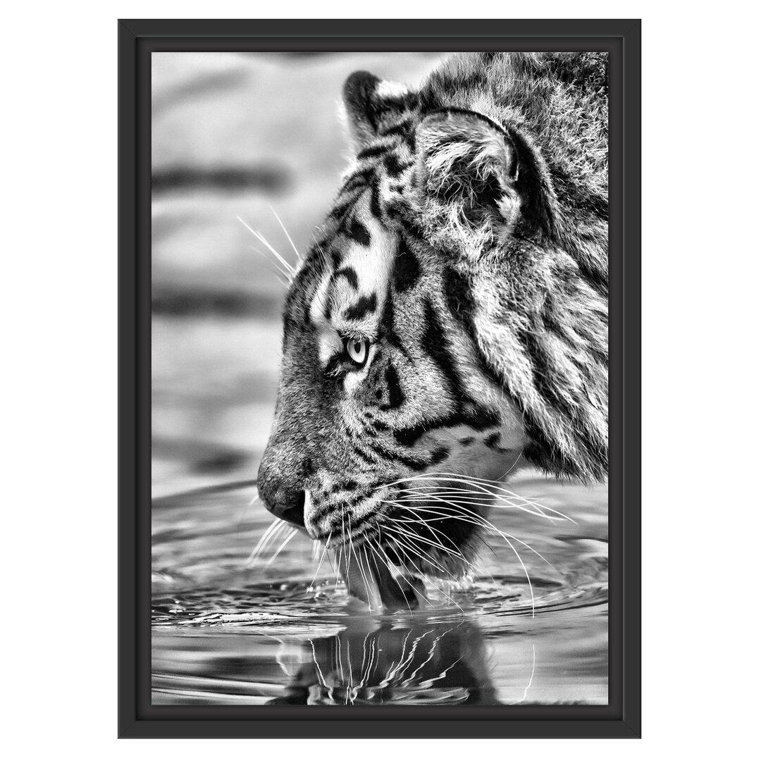 Gerahmtes Wandbild Tiger am Wasserloch