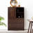 Accent Cabinet