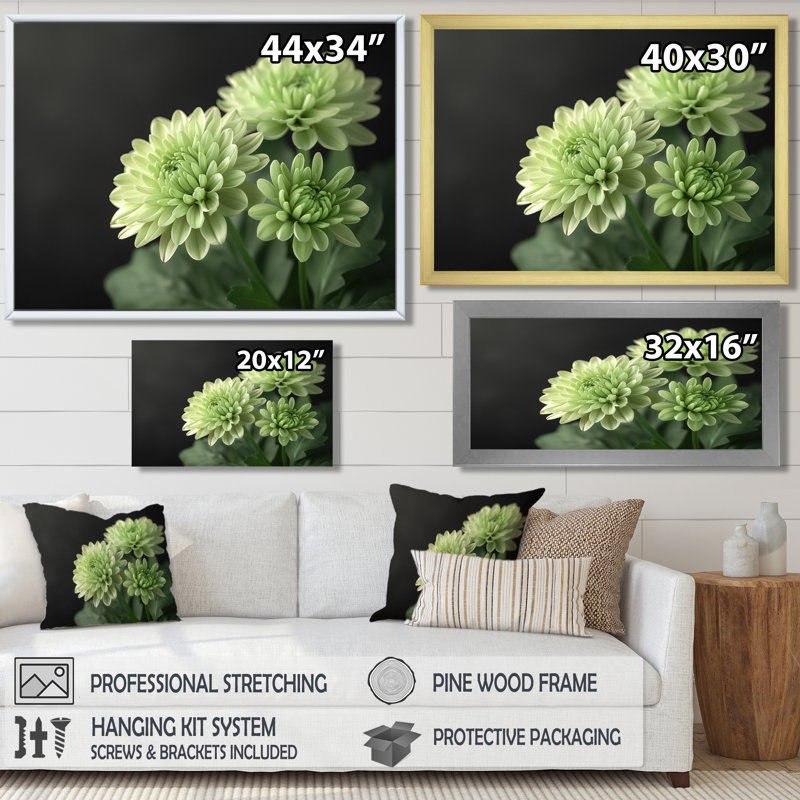 «Green Monochrom Mums Flowers Bouquet II», reproduction d'art mural, Cadre flottant brun, bois massif