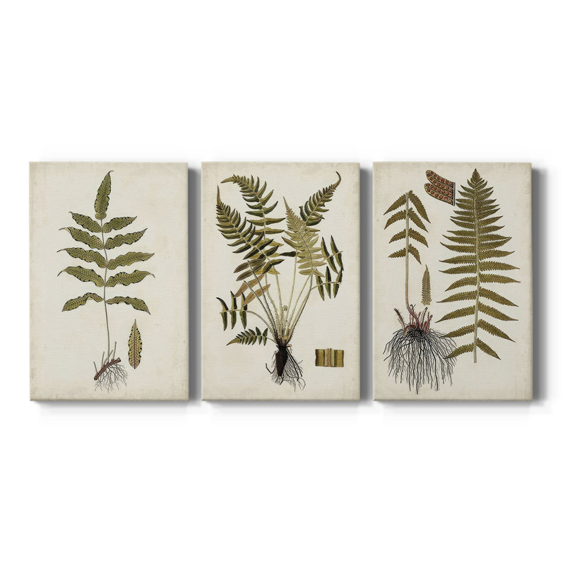 Fern Botanical III - Toile tendue avec châssis sur mesure - 3 pièces, H 48 po x l 96 po