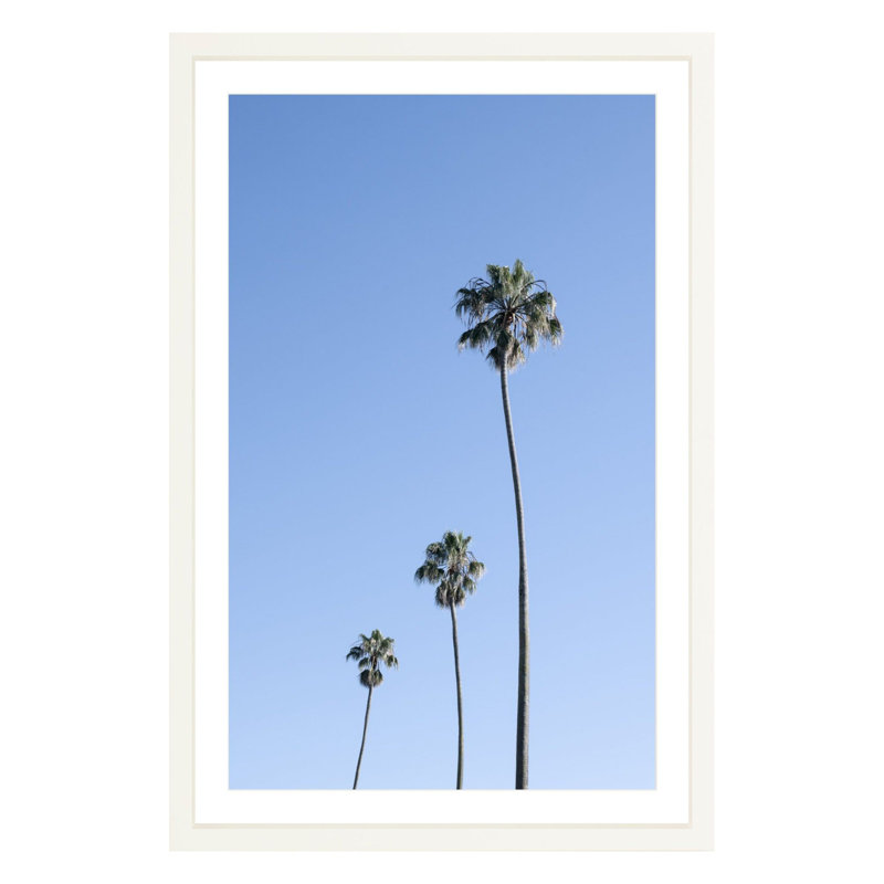 Plants & Flowers Print, White, 36" H x 24" W x 1.88" D
