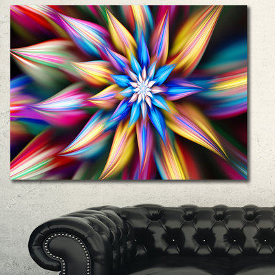 " Exotic Multi-Colour Flower Petals "