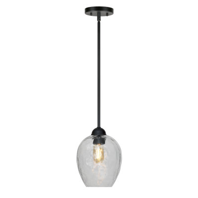Luminaire suspendu à globe unique à 1 lumière