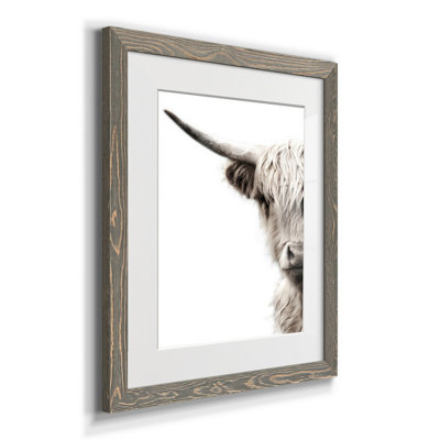 " Highland Cattle "