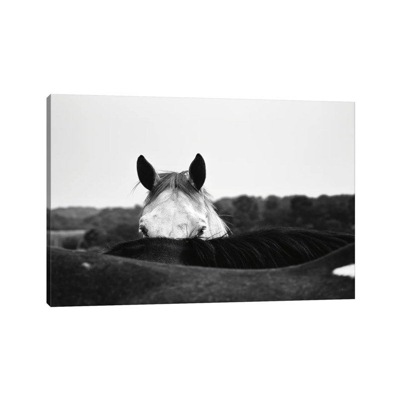 Flirt by Aledanda - Wrapped Canvas Print, 30.48 cm H x 45.72 cm W