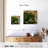 Harnek Succulent II-109210678