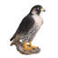 Statue faucon pèlerin