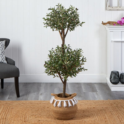 Yoder 54 " H Faux Olive Tree Topiary