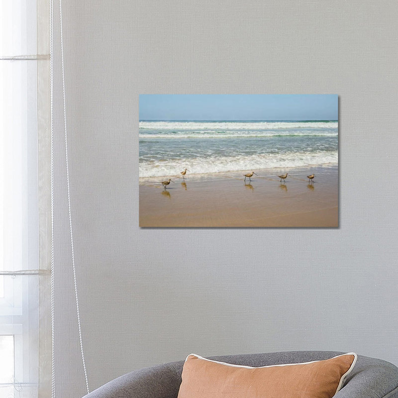 Birds At La Jolla Shores by Barbara Markoff - Wrapped Canvas Print