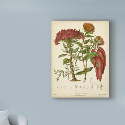 « botaniques ii », reproduction d’impression sur toile tendue