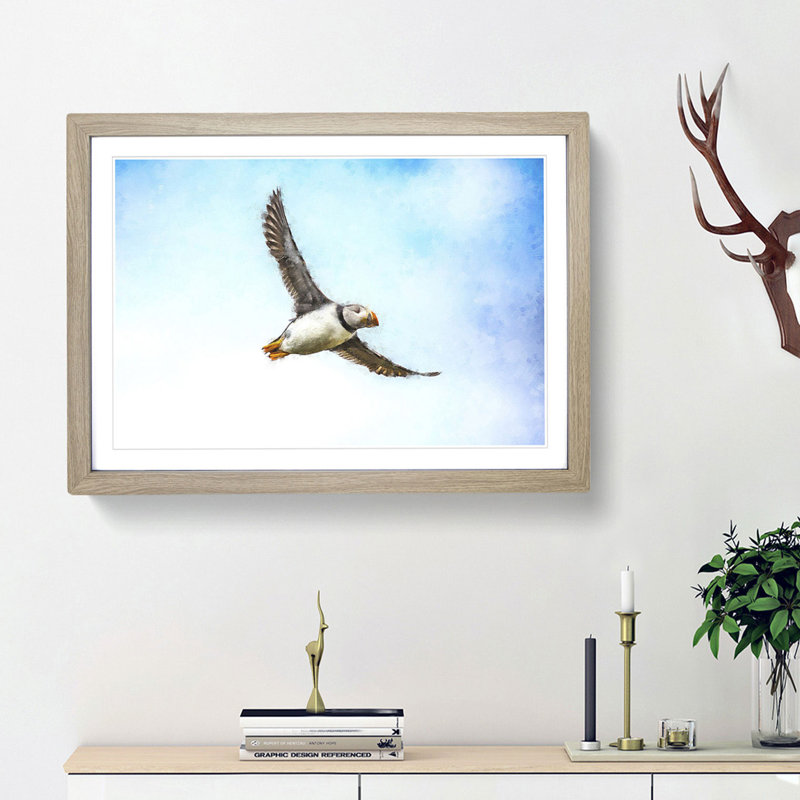Flying Atlantic Puffin Bird - Picture Frame Graphic Art Print, 45cm H x 63cm W x 2cm D, Oak Framed