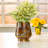 Oil Rubbed Metal Planter