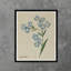 Blue Petals Print