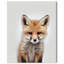 «Baby Animal Fox» par Wynwood Studio-397286484
