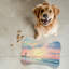 Coastal Beacon - 1 Piece Bone Shape Feeding Mat-101634606