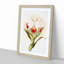 Magnolia Flowers Illustration Tab. 46 by Frederick Sander - Picture Frame Painting Print-55758920-55758918