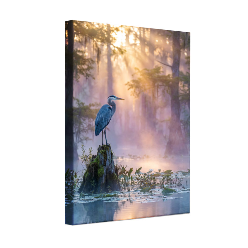 Animaux, lumière du soleil à travers les arbres, héron, brume d'eau, forêt, matin, scène paisible, H 18 po x l 12 po